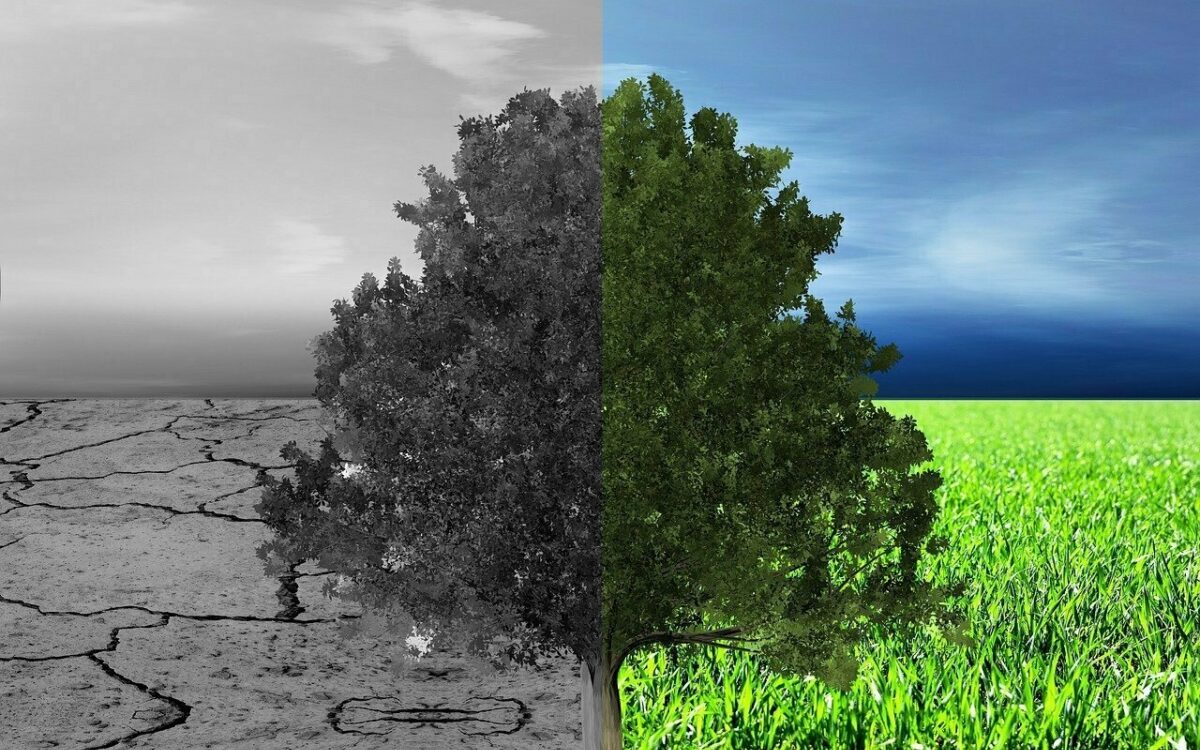 Klima umweltschutz trockenheit Klima umweltschutz trockenheit